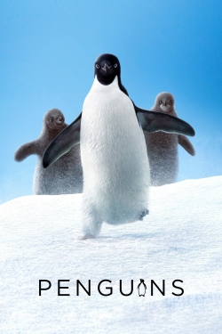 watch-Penguins