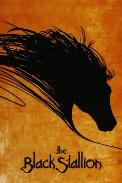 watch-The Black Stallion