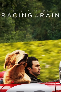 watch-The Art of Racing in the Rain