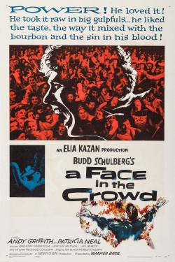 watch-A Face in the Crowd
