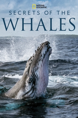 watch-Secrets of the Whales