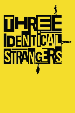 watch-Three Identical Strangers