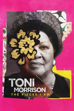 watch-Toni Morrison: The Pieces I Am