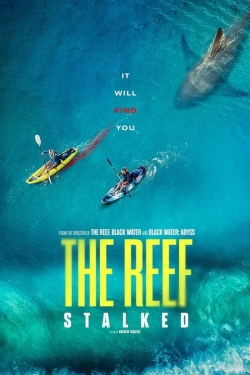watch-The Reef: Stalked